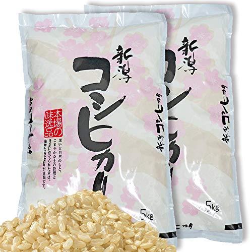  令和4年産 新潟県産 コシヒカリ 玄米 10kg (5kg×2) 新潟産 コシヒカリ 玄米 新潟 コシヒカリ お米 玄米