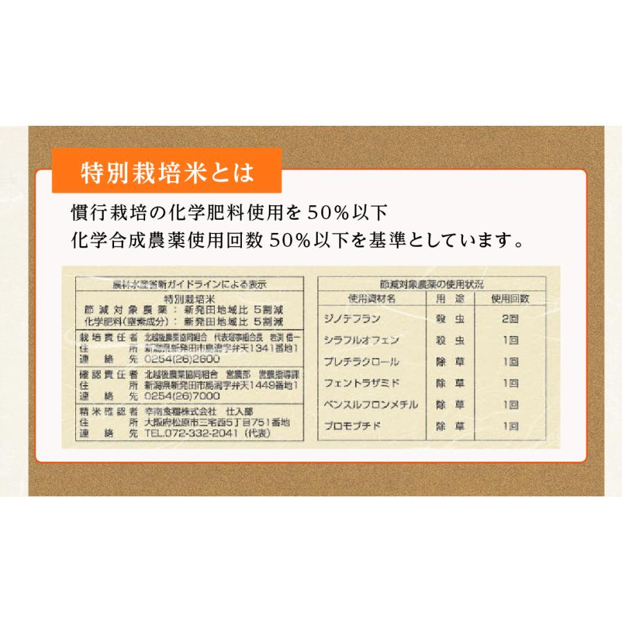 米 お米 米20kg 白米 送料無料 コシヒカリ 新潟県産 20kg こめ20kg 米20キロ お米20キロ 精米 単一原料米 令和5年産 新米 美味しい 高級 特別栽培米 特a