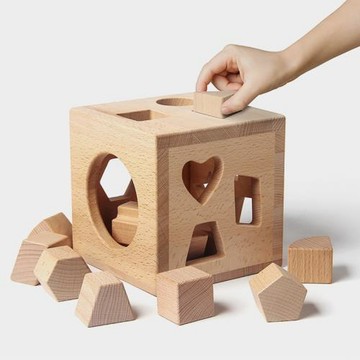 實木智力盒兒童益智早教形狀認知與配對無漆實木玩具幼兒園教具