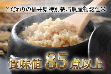 コシヒカリ 玄米 5kg×2袋（計10kg） 特別栽培米 農薬不使用 化学肥料不使用 ／ 高品質 鮮度抜群 福井県産 ブランド米 あわら