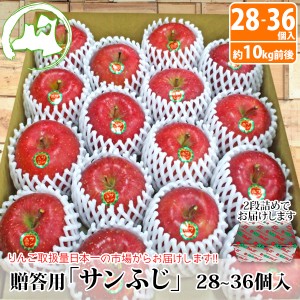 贈答用青森県産サンふじ約10kg前後 28個～36個入　送料無料　青森 りんご　お歳暮 贈答 青森 通販 青森りんご 贈答用 10kg