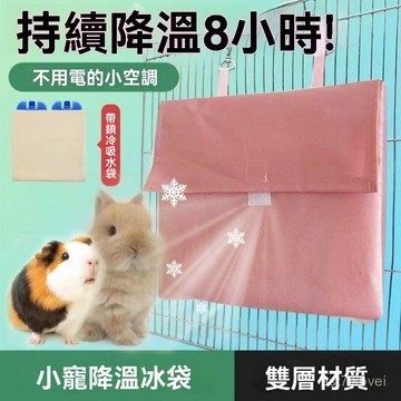 🔥小寵專屬🔥 兔籠降溫冰袋 寵物籠冰袋 寵物兔 夏季消暑 冰袋 夏季消暑用品 倉鼠散熱 兔籠降溫 降溫神器 豚鼠龍貓