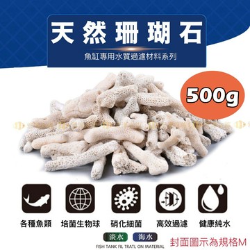 宏洋水族【500g 珊瑚骨/珊瑚石/珊瑚砂】純天然鹼性／調節穩定PH／天然魚缸底砂用／過濾用／造景 底沙 底材 菲律賓砂
