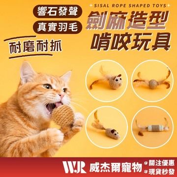 【威杰爾】劍麻造型啃咬玩具 貓咪劍麻球 寵物劍麻球 貓抓球 寵物玩具 解壓玩具 貓咪耐咬互動玩具 貓玩具【G074】