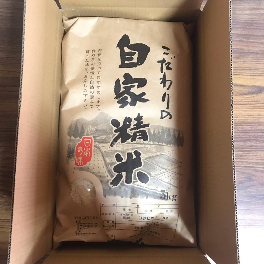 令和5年産　コシヒカリ　5kg　愛知県産　選べる　白米　無洗米　生産農家直送