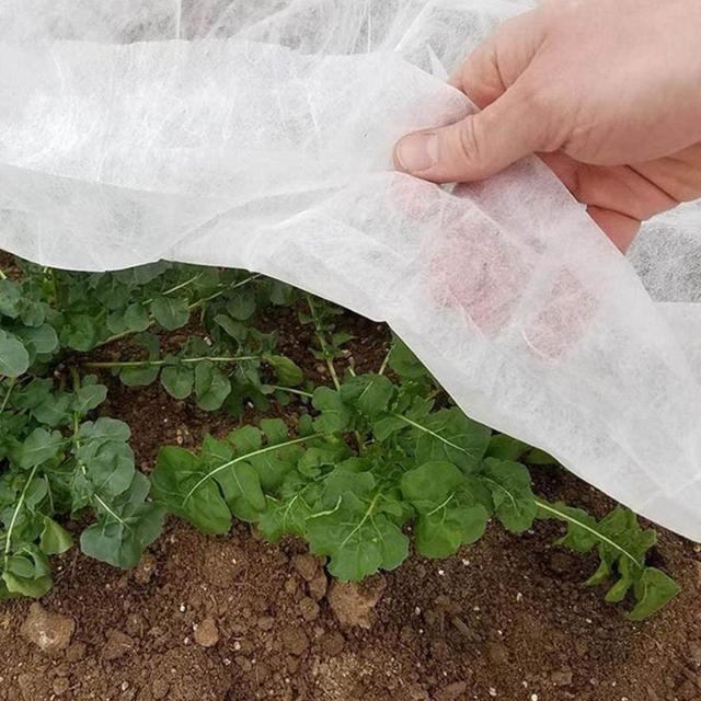 庭の植物の保護カバー,1.5x8m 3x4m,不織布の果物とほこりの保護カバー,野菜の霜取り