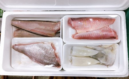 発送メールのみ 日本海の鮮魚詰め合わせ（4～5人前 下処理済み 切り身 魚介 セット）