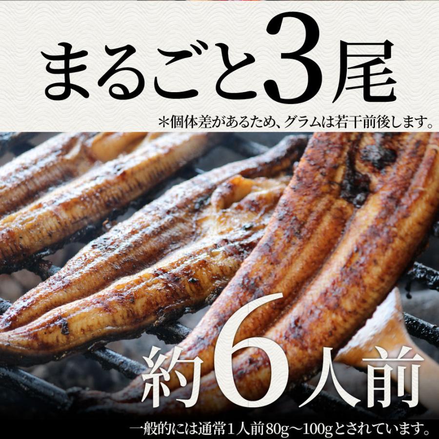 うなぎ蒲焼 3本入り（約200ｇ×3）たれ・山椒付き 鰻 かば焼き 土用 丑の日 湯煎 レンジOK 簡単解凍するだけ 惣菜 冷凍当日発送