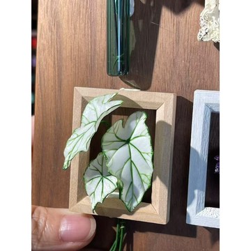 原創 7種 天南星科熱植 壓花器、粘土刀模 可切黏土