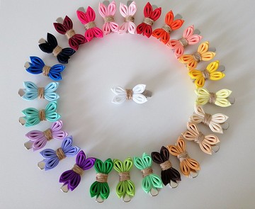 一套 4 個髮夾，適合毛茸茸的朋友 Shih Tzu、Biewer、Toy Poodle、Yorkie、Pom