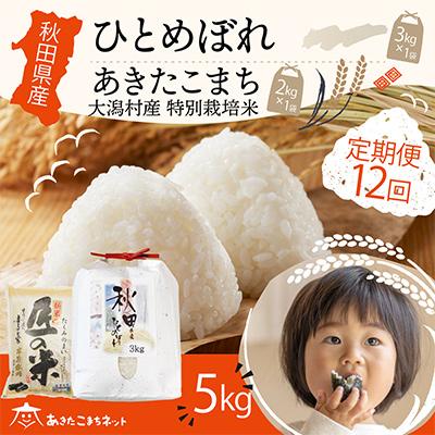 ふるさと納税 秋田市 秋田県産ひとめぼれ3kg・大潟村ふると米2kg食べ比べセット 全12回