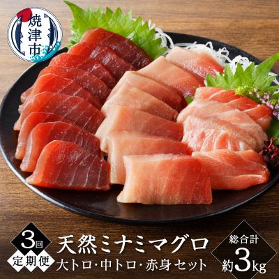 ふるさと納税 焼津市 キボシ水産 天然南鮪 大トロ 中トロ 赤身食べ比べ約1kg×3回(b10-066)