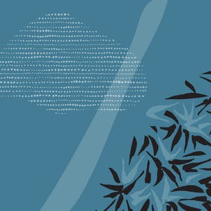 Oracle Autonomous Database Professional