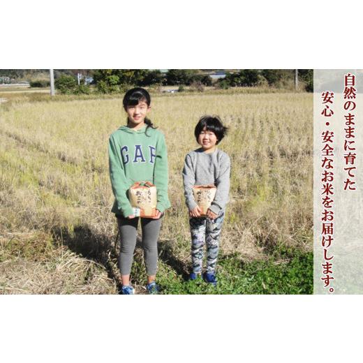 ふるさと納税 千葉県 鴨川市 孫のために作りました！田代農園の『特別栽培米』《玄米》３kg　[0010-0159]