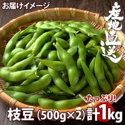 ふるさと納税 南魚沼市 令和6年産 枝豆1kg(500g×2袋) 新潟県 南魚沼市