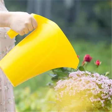 園藝澆花大容量2L澆花器