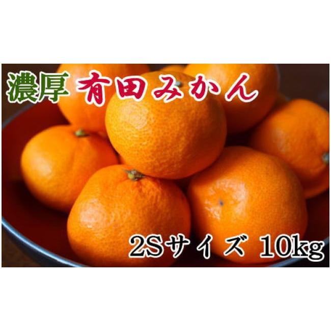 ふるさと納税 和歌山県 有田川町 和歌山有田みかん約10kg(2Sサイズ) ★2023年11月中旬頃より順次発送