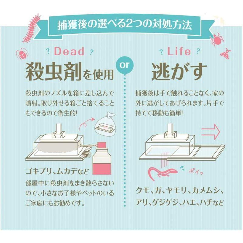 家虫キャッチャー 逃がすことも殺虫剤も使える捕虫器ゴキブリ クモ ガ等どんな虫にも使える捕獲器